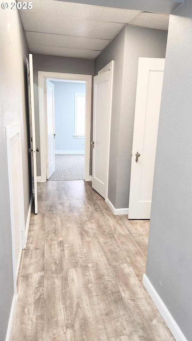 315 N Gale St, Heppner, OR 97836 - corridor featuring wood finished floors and a drop ceiling