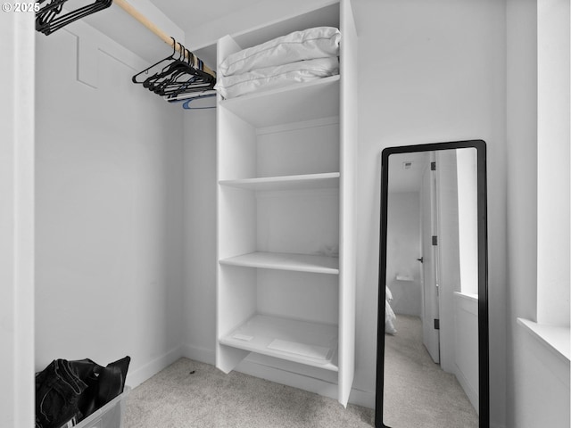 spacious closet with light colored carpet