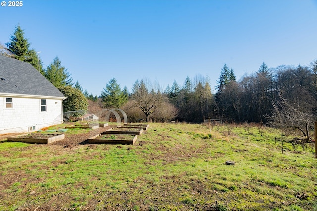 view of yard with a rural view