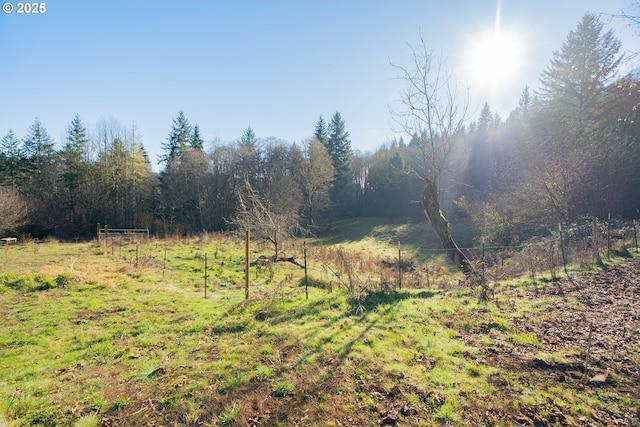 view of nature featuring a rural view