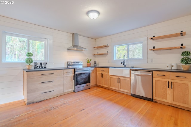 kitchen with appliances with stainless steel finishes, light wood-type flooring, plenty of natural light, sink, and wall chimney range hood