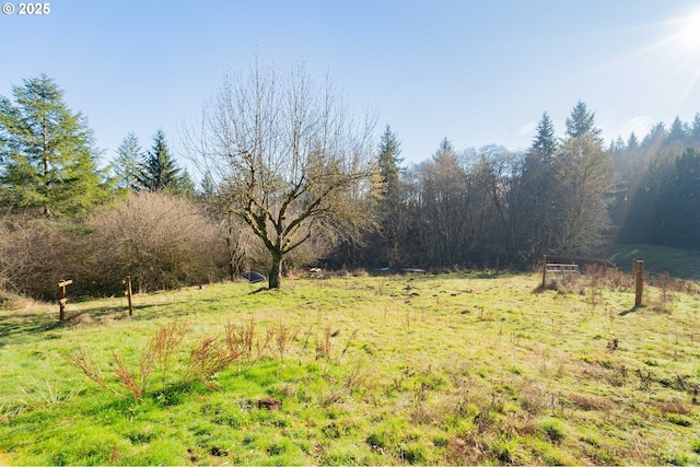 view of yard with a rural view