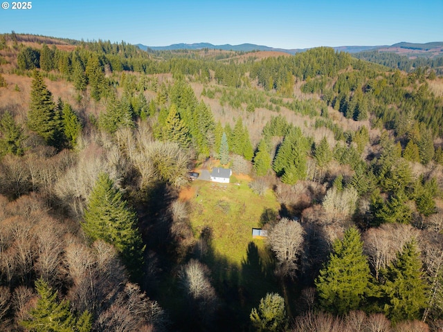 birds eye view of property featuring a mountain view