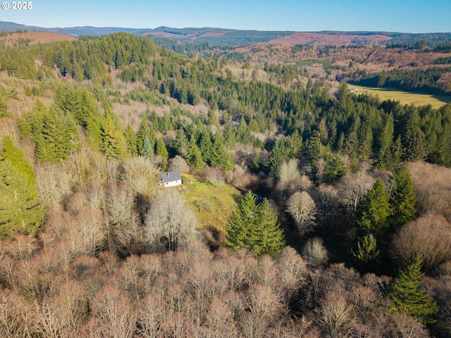 birds eye view of property featuring a mountain view