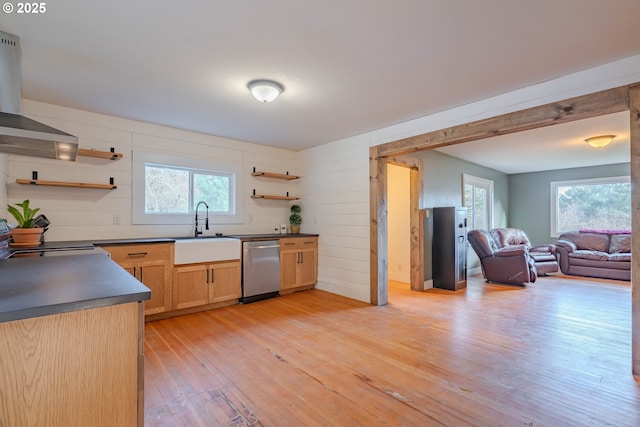 kitchen featuring dishwasher, light hardwood / wood-style floors, light brown cabinets, sink, and exhaust hood