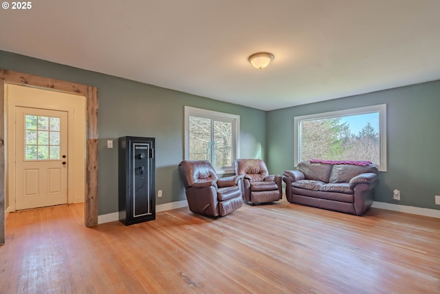 living room featuring light wood-type flooring