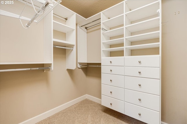 2107 NW Village Cir, Portland, OR 97229 - walk in closet featuring carpet