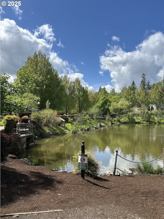2107 NW Village Cir, Portland, OR 97229 - water view