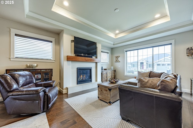 living room with a fireplace, a raised ceiling, and dark wood-type flooring