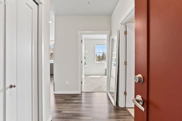 17182 SW Appledale Rd Unit 302, Beaverton, OR 97007 - hallway featuring dark wood-type flooring and baseboards