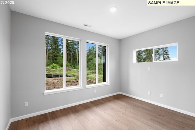 unfurnished room featuring wood-type flooring and a healthy amount of sunlight