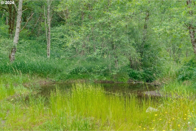 view of nature featuring a water view