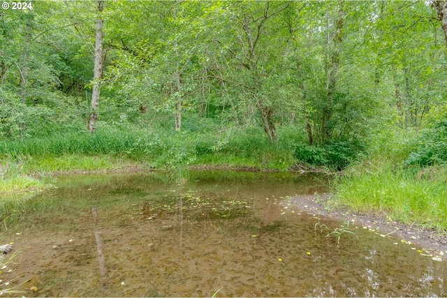 view of nature with a water view