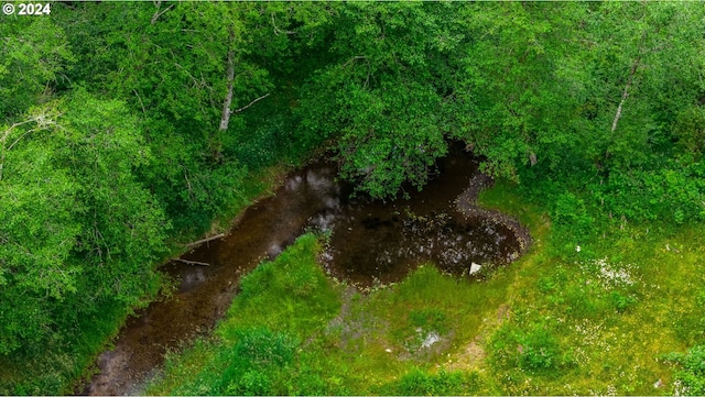 view of local wilderness