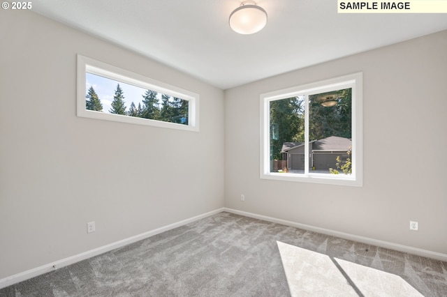 unfurnished room with baseboards and carpet