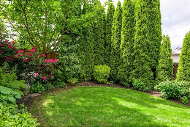 2053 Lakeview Dr, Eugene, OR 97408 - view of yard
