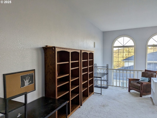 sitting room featuring carpet