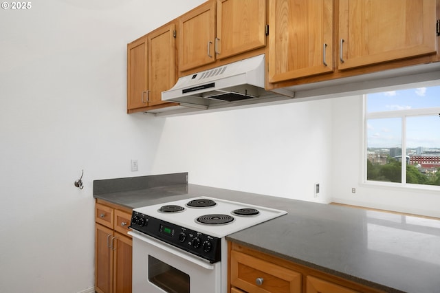 1910 SW 18th Ave Unit 34, Portland, OR 97201 - kitchen with under cabinet range hood, white range with electric stovetop, dark countertops, and brown cabinetry