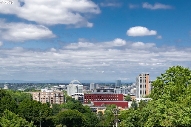 1910 SW 18th Ave Unit 34, Portland, OR 97201 - view of city