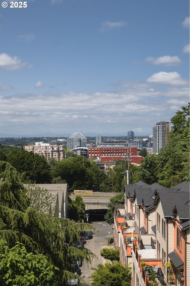 1910 SW 18th Ave Unit 34, Portland, OR 97201 - view of city