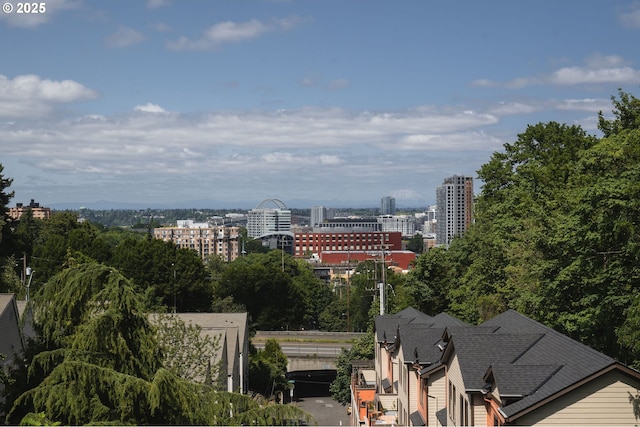 1910 SW 18th Ave Unit 34, Portland, OR 97201 - view of city