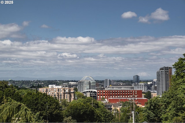 1910 SW 18th Ave Unit 34, Portland, OR 97201 - city view