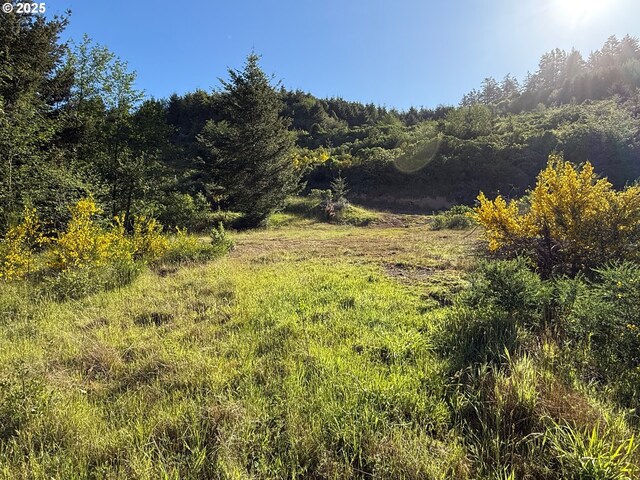 Crown Terrace Rd Unit 1, Brookings, OR 97415