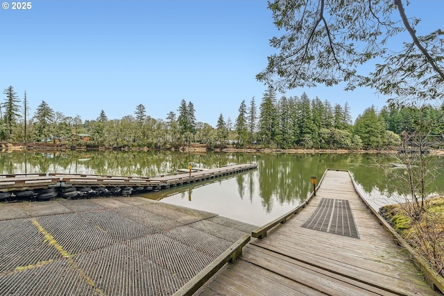 view of dock featuring a water view