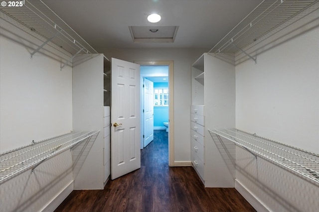 88771 Tokyo Ln, Bandon, OR 97411 - walk in closet featuring attic access and wood finished floors