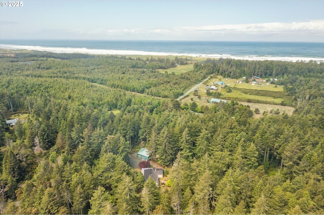 88771 Tokyo Ln, Bandon, OR 97411 - aerial view of property's location with a forest and a nearby body of water