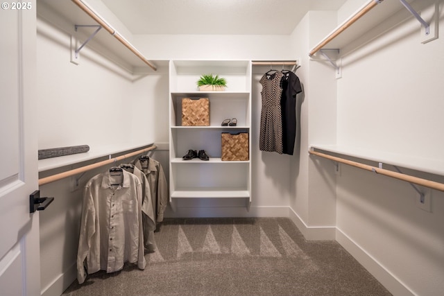 walk in closet featuring carpet floors