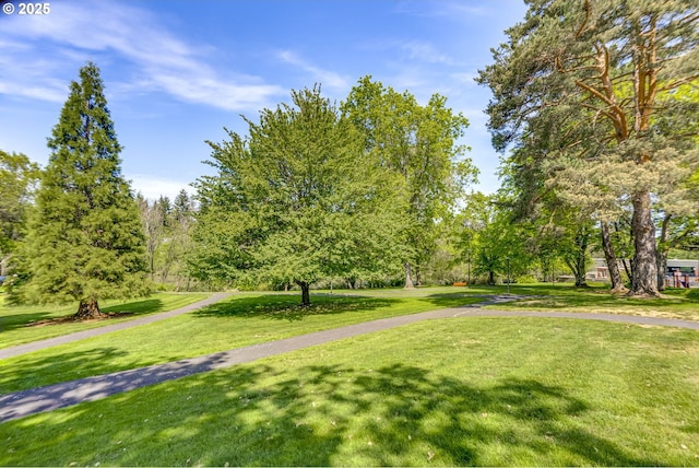 1745 NW Lakeway Ln, Beaverton, OR 97006 - view of home's community with a lawn and view of wooded area