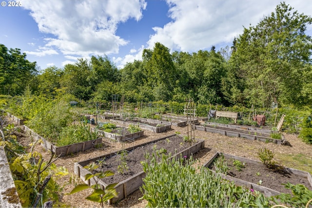 1745 NW Lakeway Ln, Beaverton, OR 97006 - view of yard with a vegetable garden