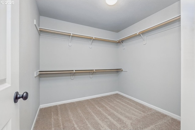 7698 NW Catalpa St, Portland, OR 97229 - spacious closet with carpet
