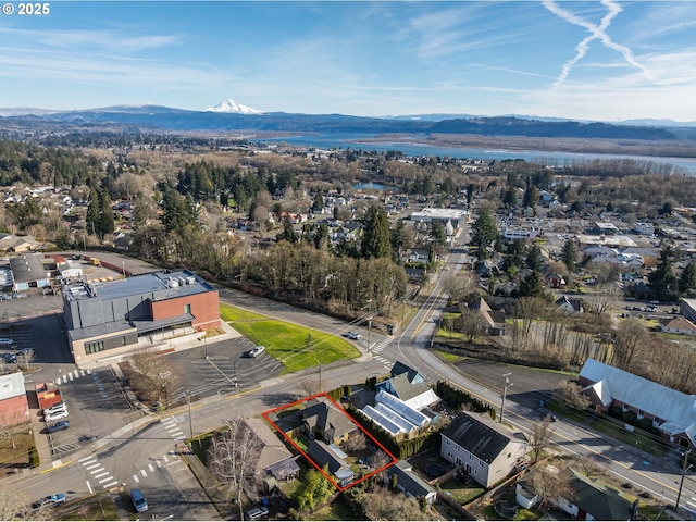 bird's eye view with a mountain view