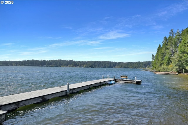 83594 Sauter Dr, Florence, OR 97439 - dock area featuring a wooded view and a water view