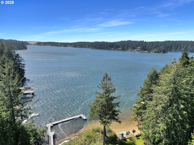 83594 Sauter Dr, Florence, OR 97439 - water view featuring a forest