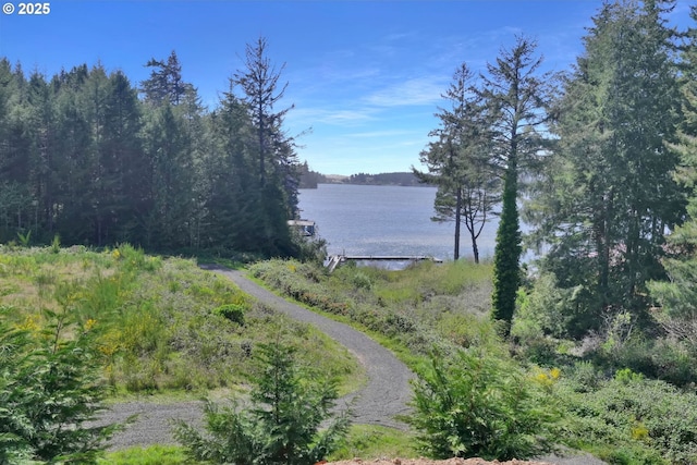 83594 Sauter Dr, Florence, OR 97439 - water view