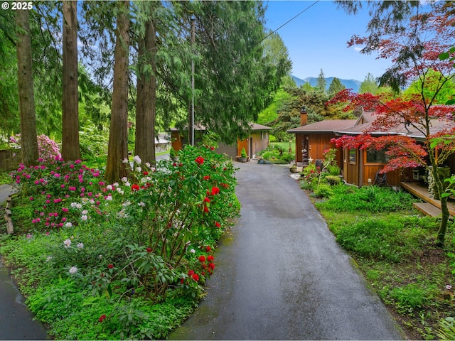 24880 E Arrah Wanna Blvd, Welches, OR 97067 - view of front facade featuring a mountain view, driveway, and a chimney