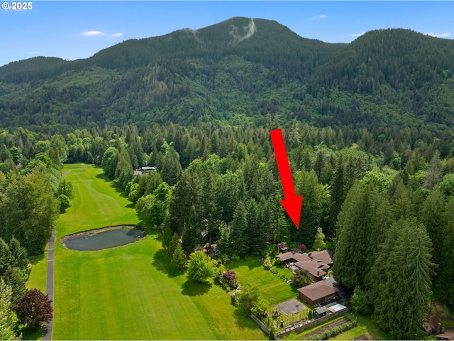 24880 E Arrah Wanna Blvd, Welches, OR 97067 - bird's eye view of a heavily wooded area and a water and mountain view