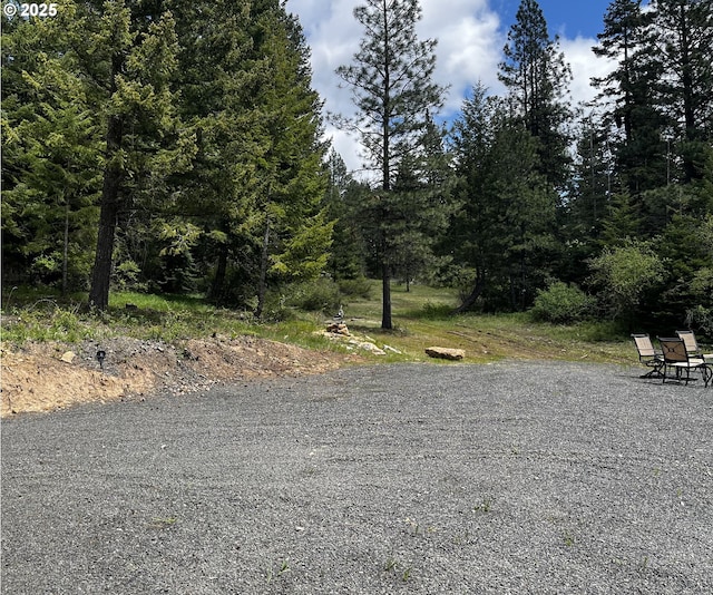 78115 Giger Ln, Weston, OR 97886 - view of road
