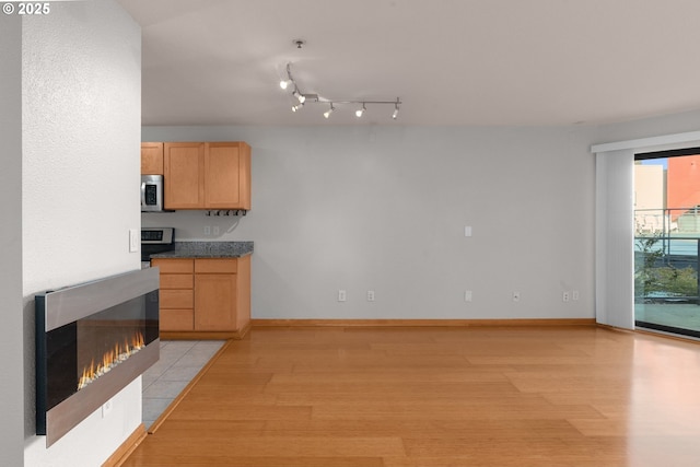 kitchen with light wood-type flooring and appliances with stainless steel finishes