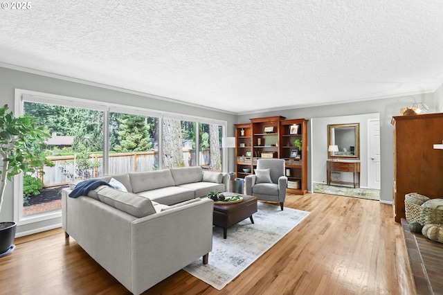 819 SE 98th Ave, Vancouver, WA 98664 - living room featuring light wood-style flooring, a textured ceiling, and ornamental molding