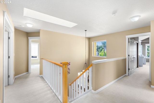 hallway with light carpet, a skylight, and a textured ceiling