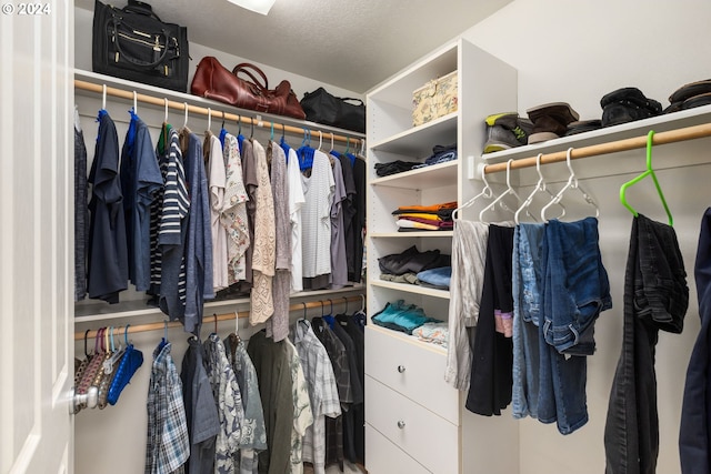 view of spacious closet