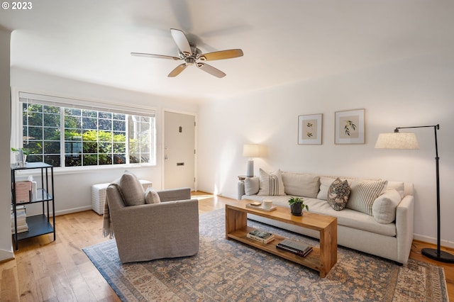 living room with wood-type flooring and ceiling fan