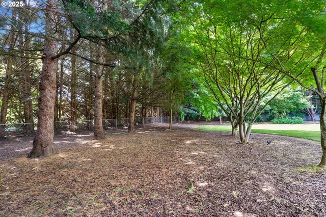 16405 NE 38th St, Vancouver, WA 98682 - view of yard