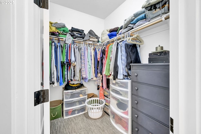 spacious closet featuring carpet floors