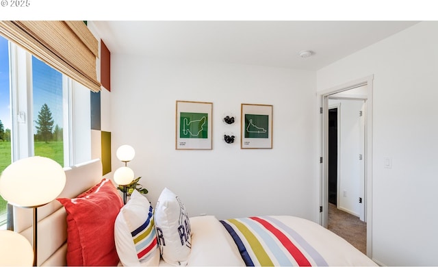 bedroom with carpet floors