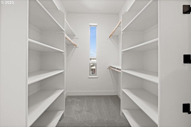 spacious closet featuring carpet flooring